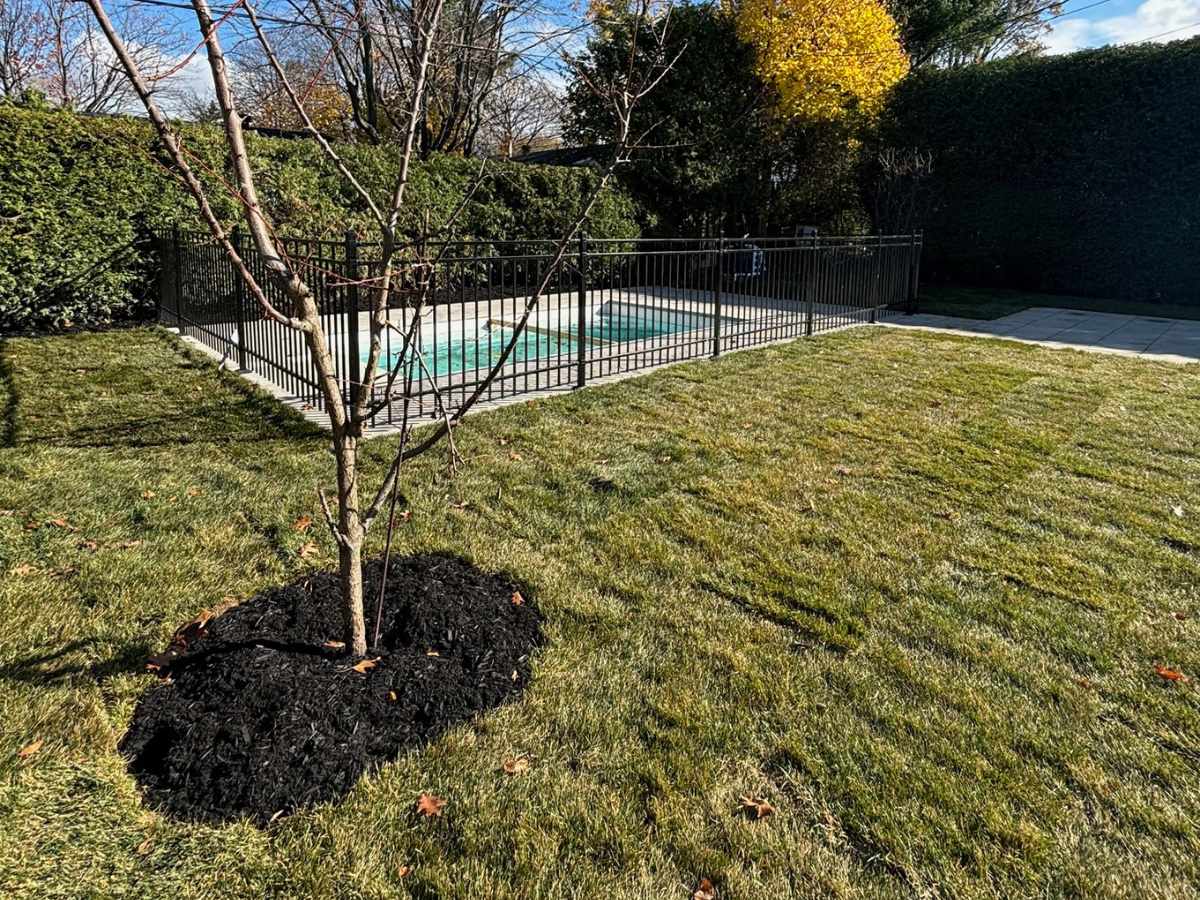 Modèles Pavés - PMT (6)