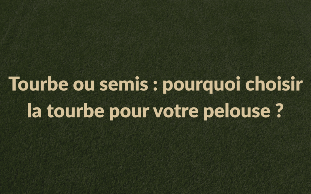 Tourbe ou semis : pourquoi choisir la tourbe pour votre pelouse