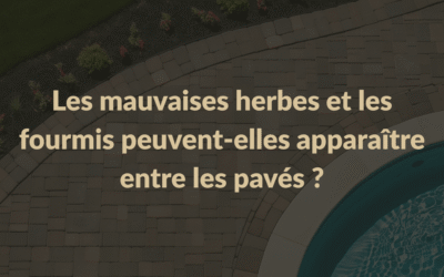 Les mauvaises herbes et les fourmis peuvent-elles apparaître entre les pavés ?